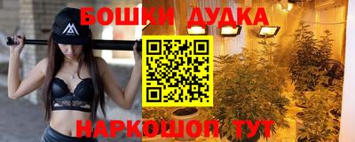 сатива Сланцы