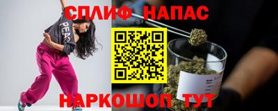 сатива Сланцы
