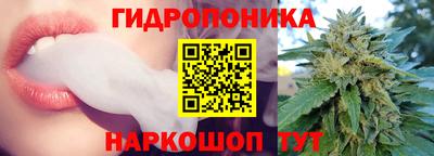 сатива Сланцы