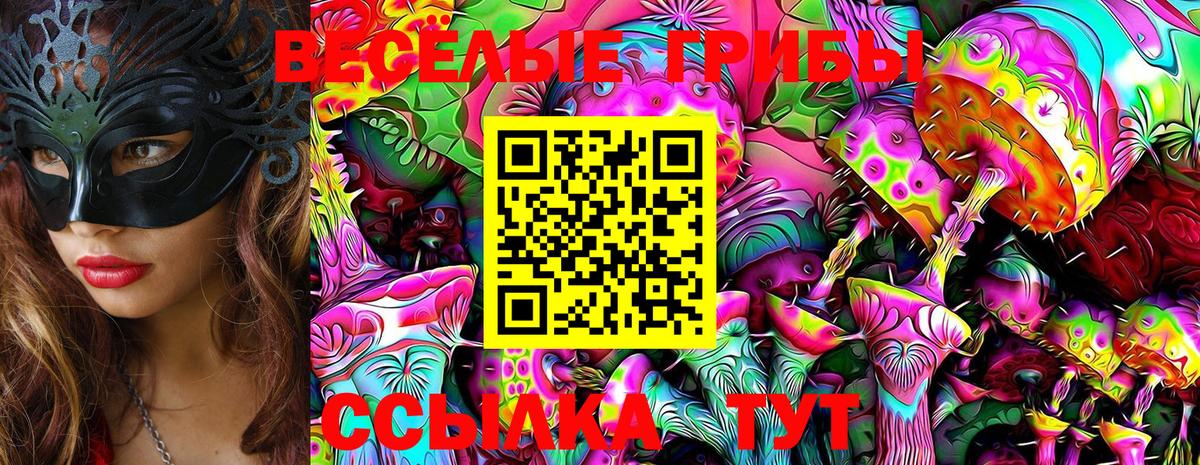ГАШ  Вход с VPN  Псков  МДМА  Мефедрон   Cocaine  Бошки Шишки 