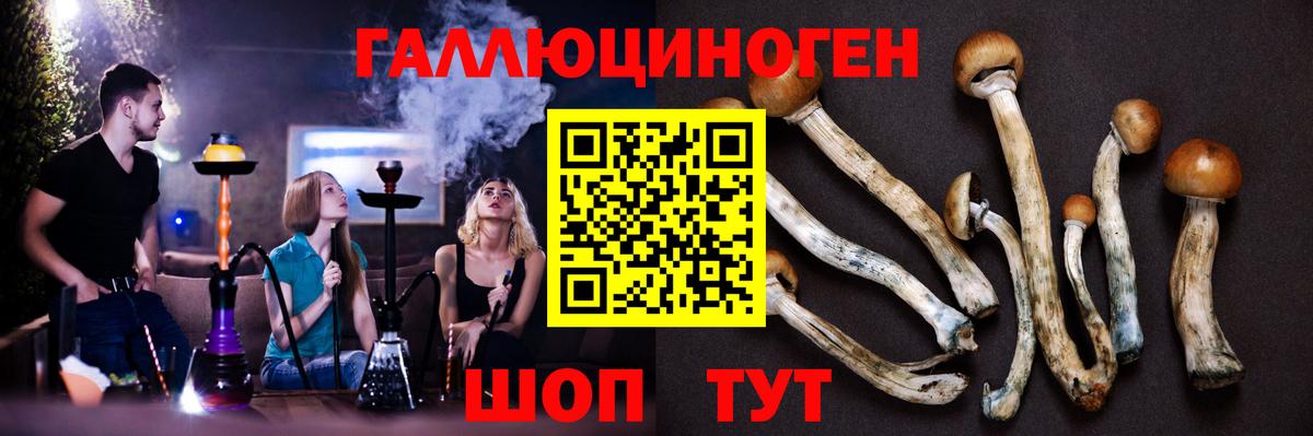 Псилоцибиновые грибы GOLDEN TEACHER Псков